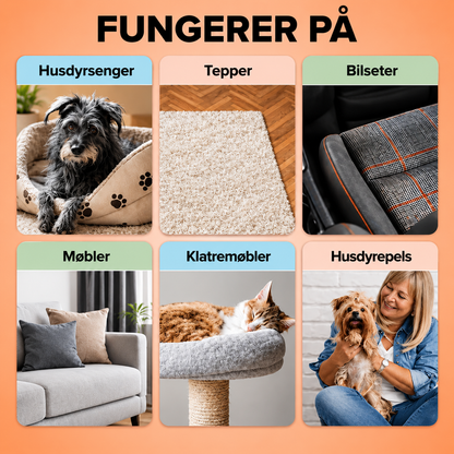 CleanPaw™ – Fjerner pels på sekunder