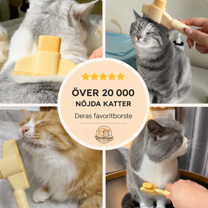 Självrengörande Pälsborste - BrushPaw™