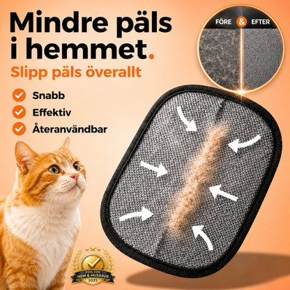 https://cdn.dropmagic.ai/medias/d78cd20a-5a41-43e0-aafe-6803cdfcdb50.webp
