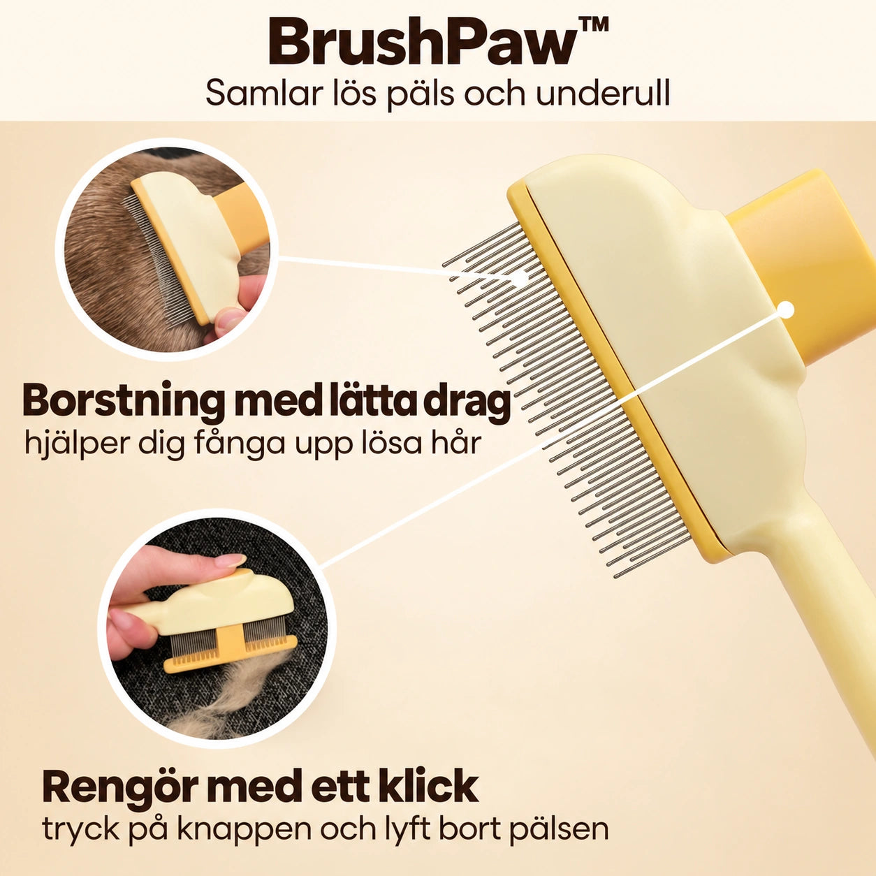 BrushPaw™ – produktbild 2