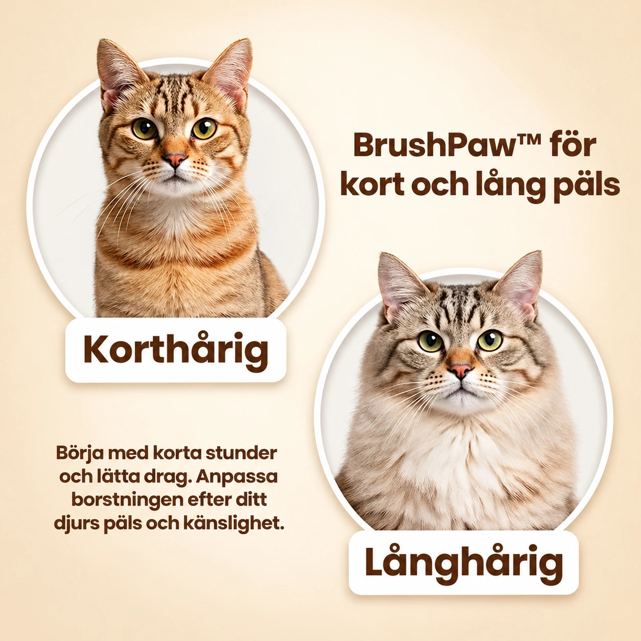 BrushPaw™ – produktbild 3