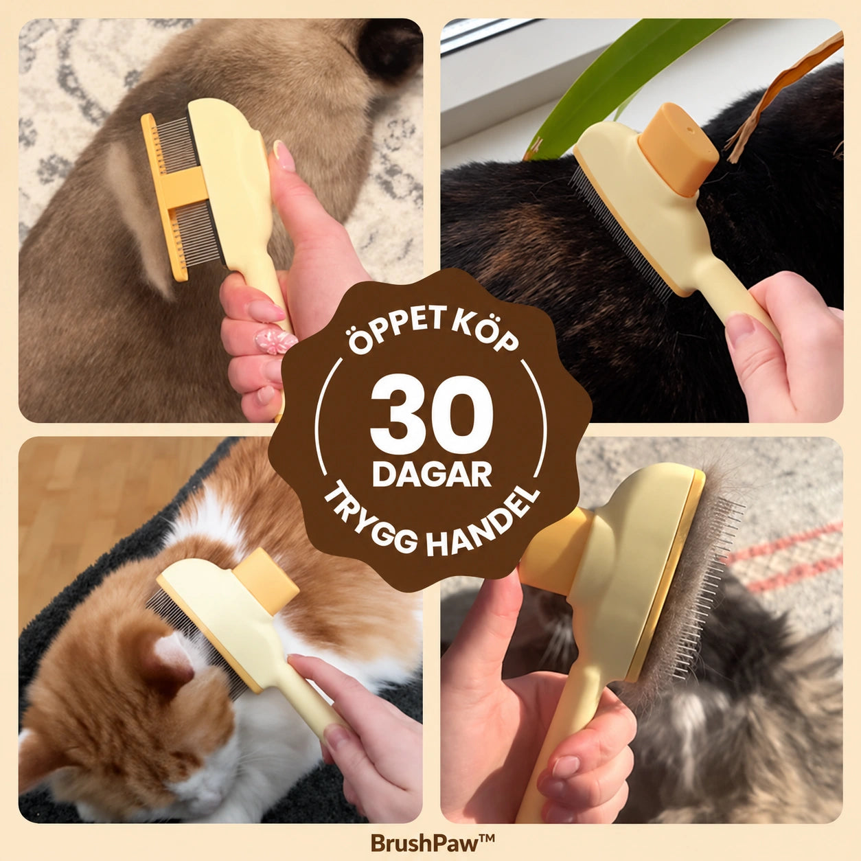 BrushPaw™ – produktbild 5