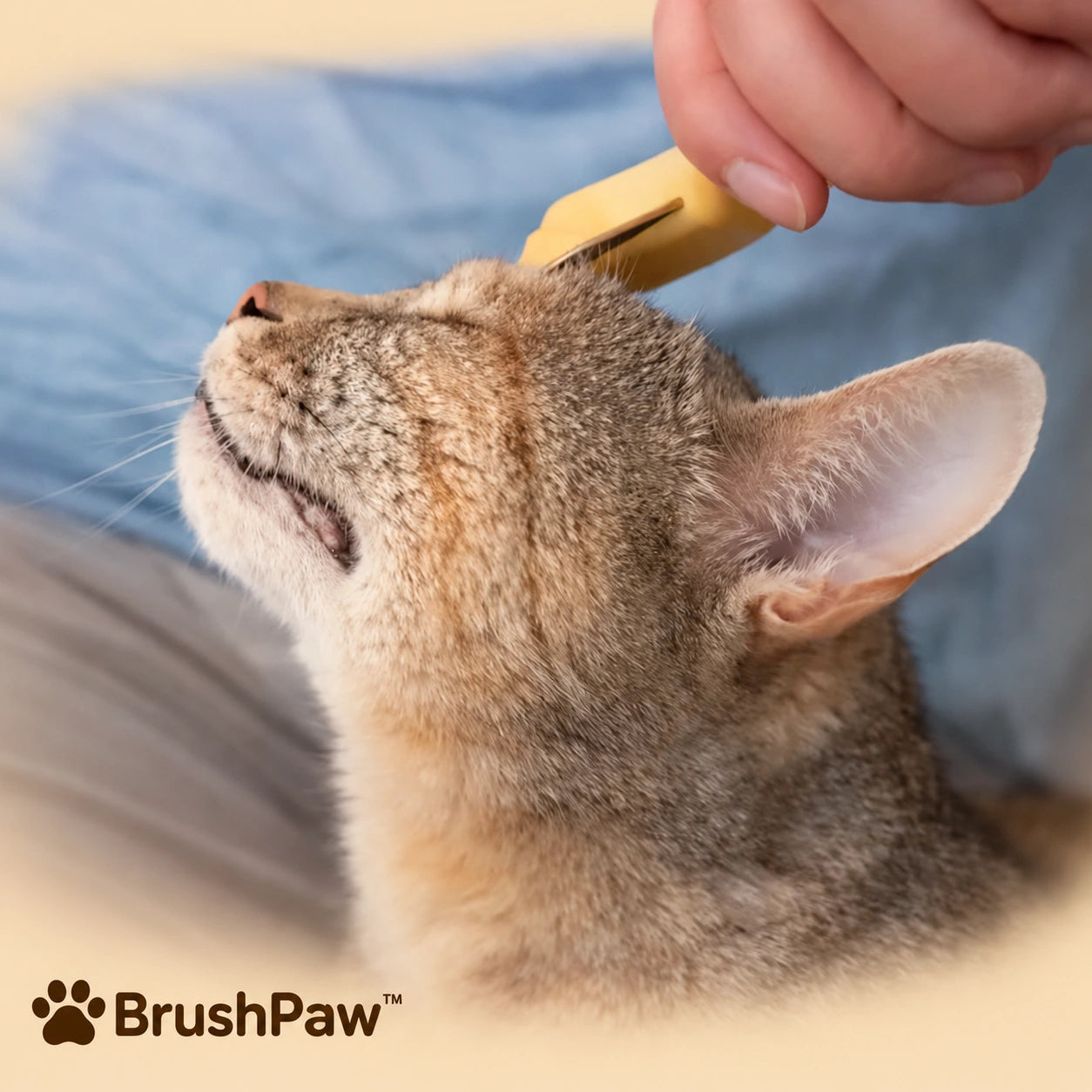 BrushPaw™ – självrengörande pälsborste